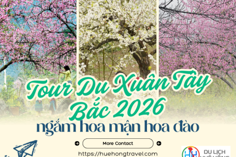 Tour Du Xuân Tây Bắc 2026 Ngắm Hoa Mận Hoa Đào