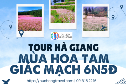 Tour Hà Giang Mùa Hoa Tam Giác Mạch 6N5Đ