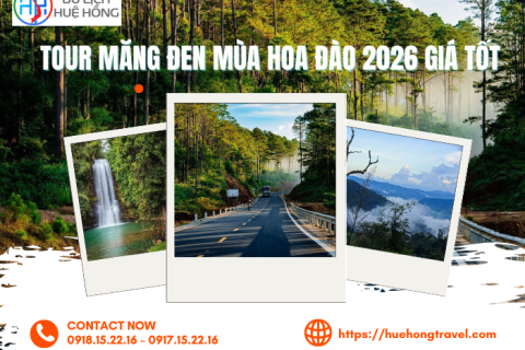 Tour Măng Đen Mùa Hoa Đào 2026 Giá Tốt