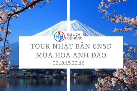 Tour Nhật Bản 6N5Đ Mùa Hoa Anh Đào