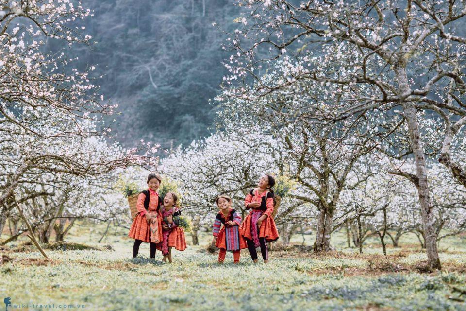 Tour Du Xuân Tây Bắc 2026 Ngắm Hoa Mận Hoa Đào