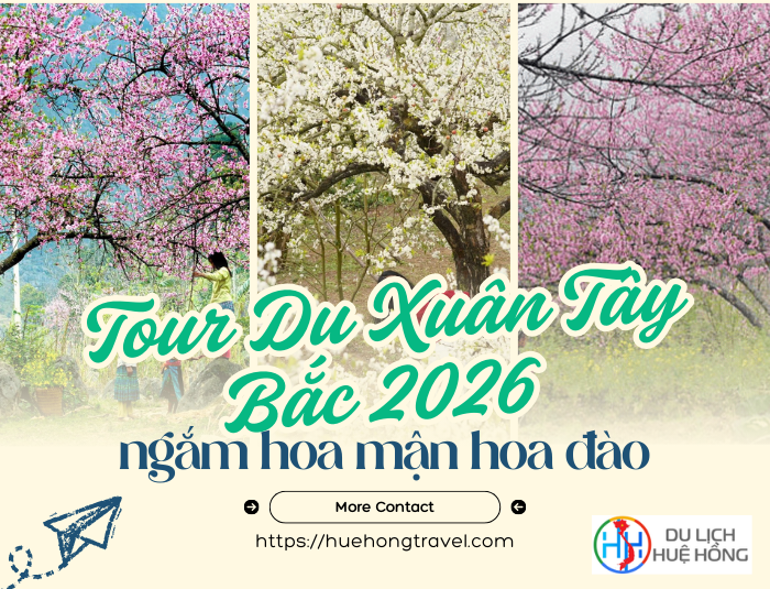 Tour Du Xuân Tây Bắc 2026 Ngắm Hoa Mận Hoa Đào