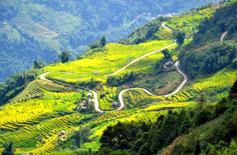 Tour Mù Cang Chải Mùa Lúa Chín 5N4Đ